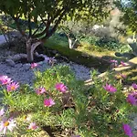 Onur Fethiye Фаралия