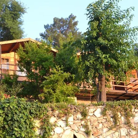 Onur Fethiye * Фаралия