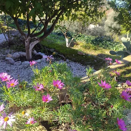 Onur Fethiye Faralya